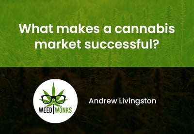 What Makes a Cannabis Market Successful?